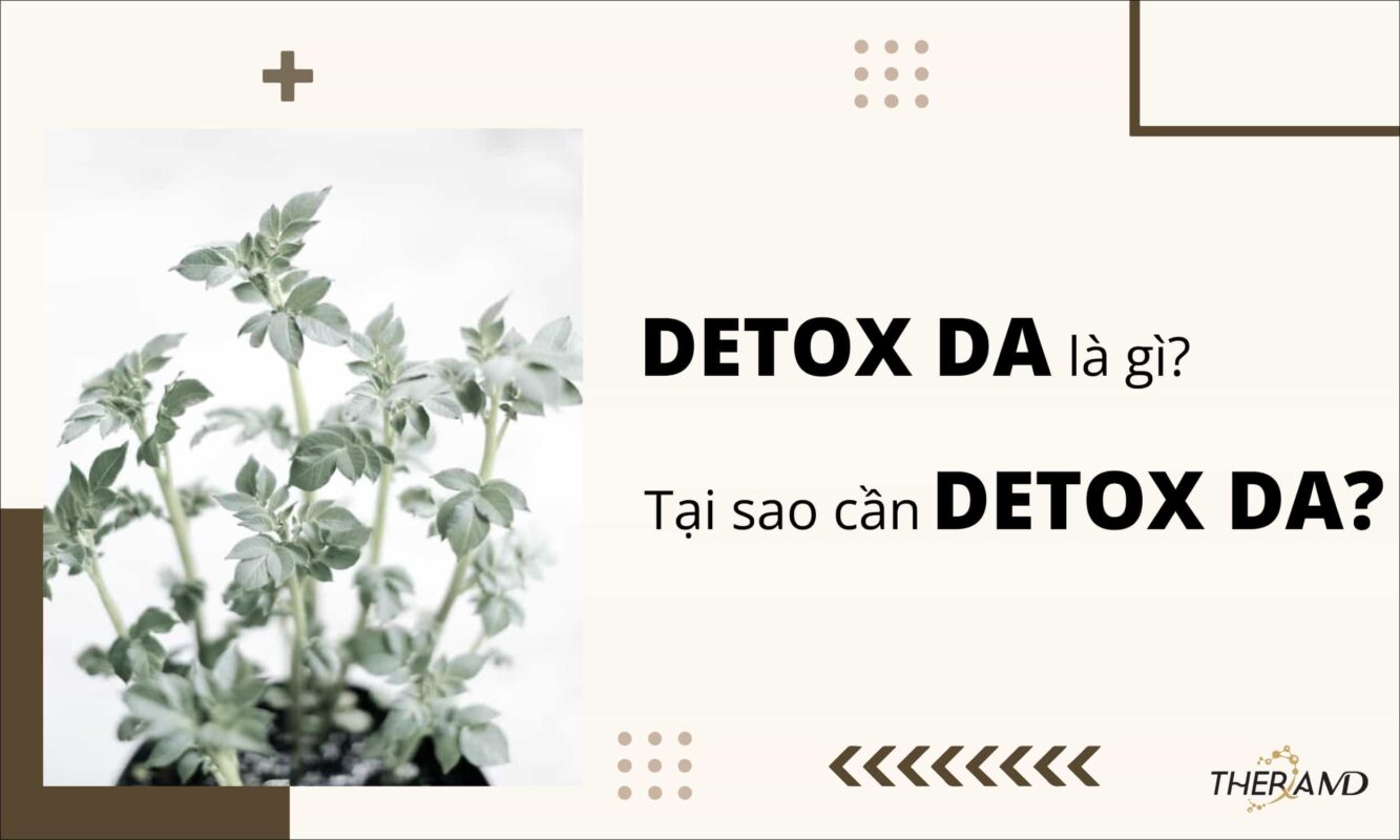dưỡng da đúng cách tại nhà 2